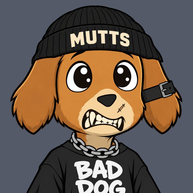 A Mutt in a MUTTS beanie and a BAD DOG tee, one of the Enjin Misfits